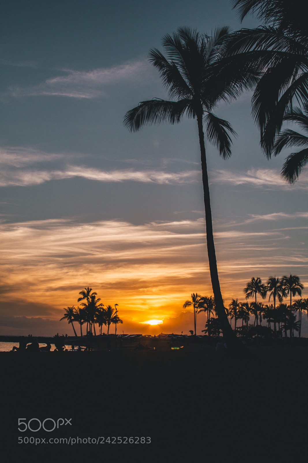 Canon EOS 550D (EOS Rebel T2i / EOS Kiss X4) sample photo. Waikiki beach sunset, honolulu photography