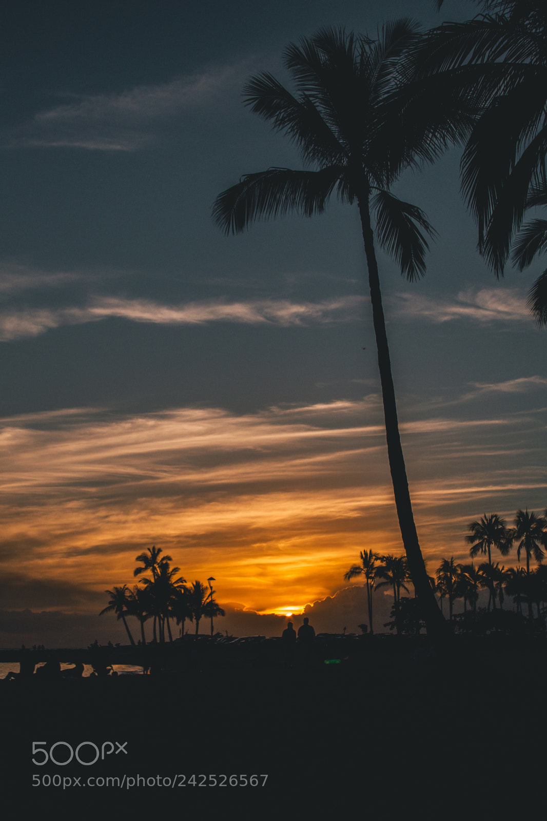 Canon EOS 550D (EOS Rebel T2i / EOS Kiss X4) sample photo. Waikiki beach sunset, honolulu photography