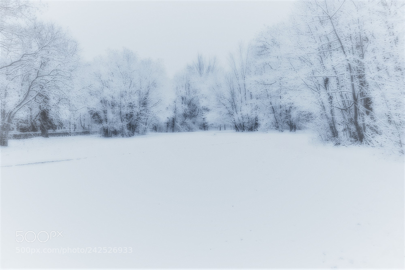 Fujifilm X-T2 sample photo. White silence photography