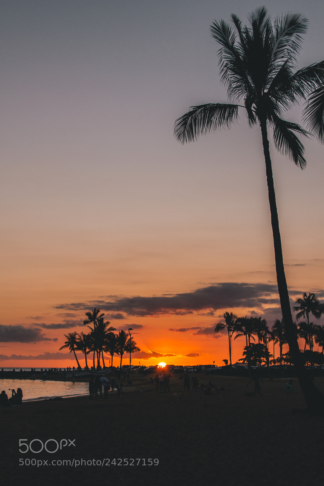 Canon EOS 550D (EOS Rebel T2i / EOS Kiss X4) sample photo. Waikiki beach sunset, honolulu photography