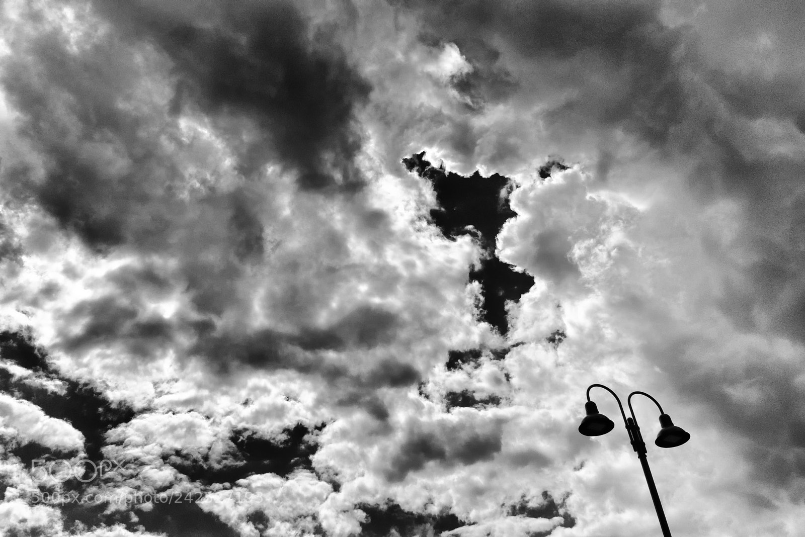 Nikon D3400 sample photo. Untitled photography