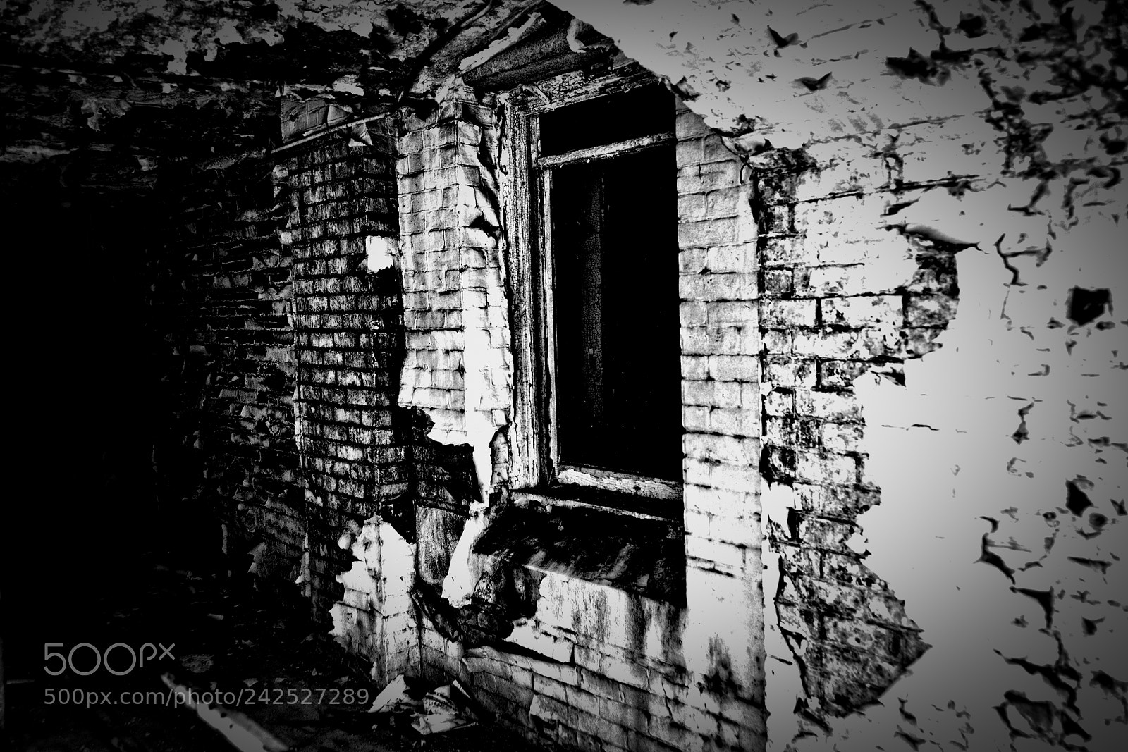 Nikon D600 sample photo. Behind the asylum photography