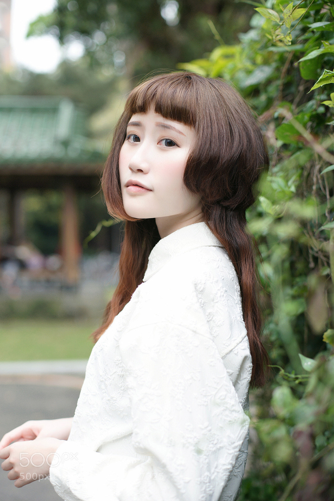 Sony Alpha DSLR-A850 sample photo. 紅 photography