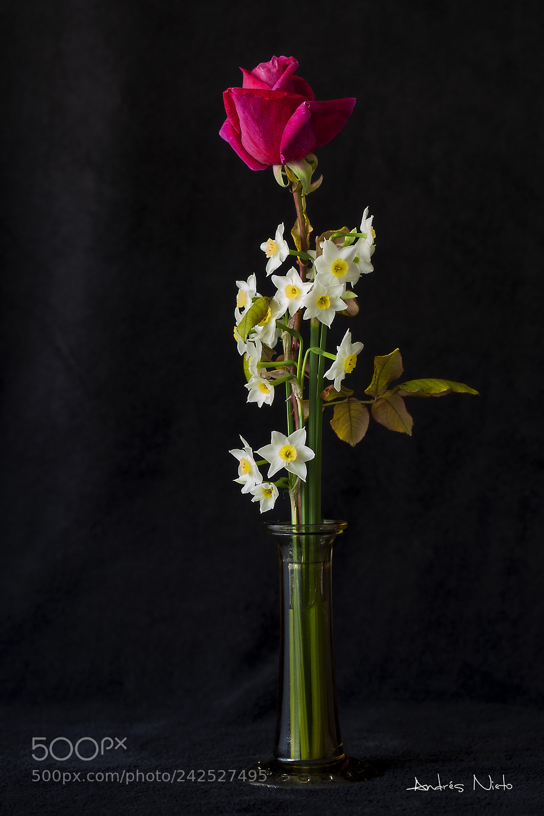 Canon EOS 5D sample photo. Untitled photography