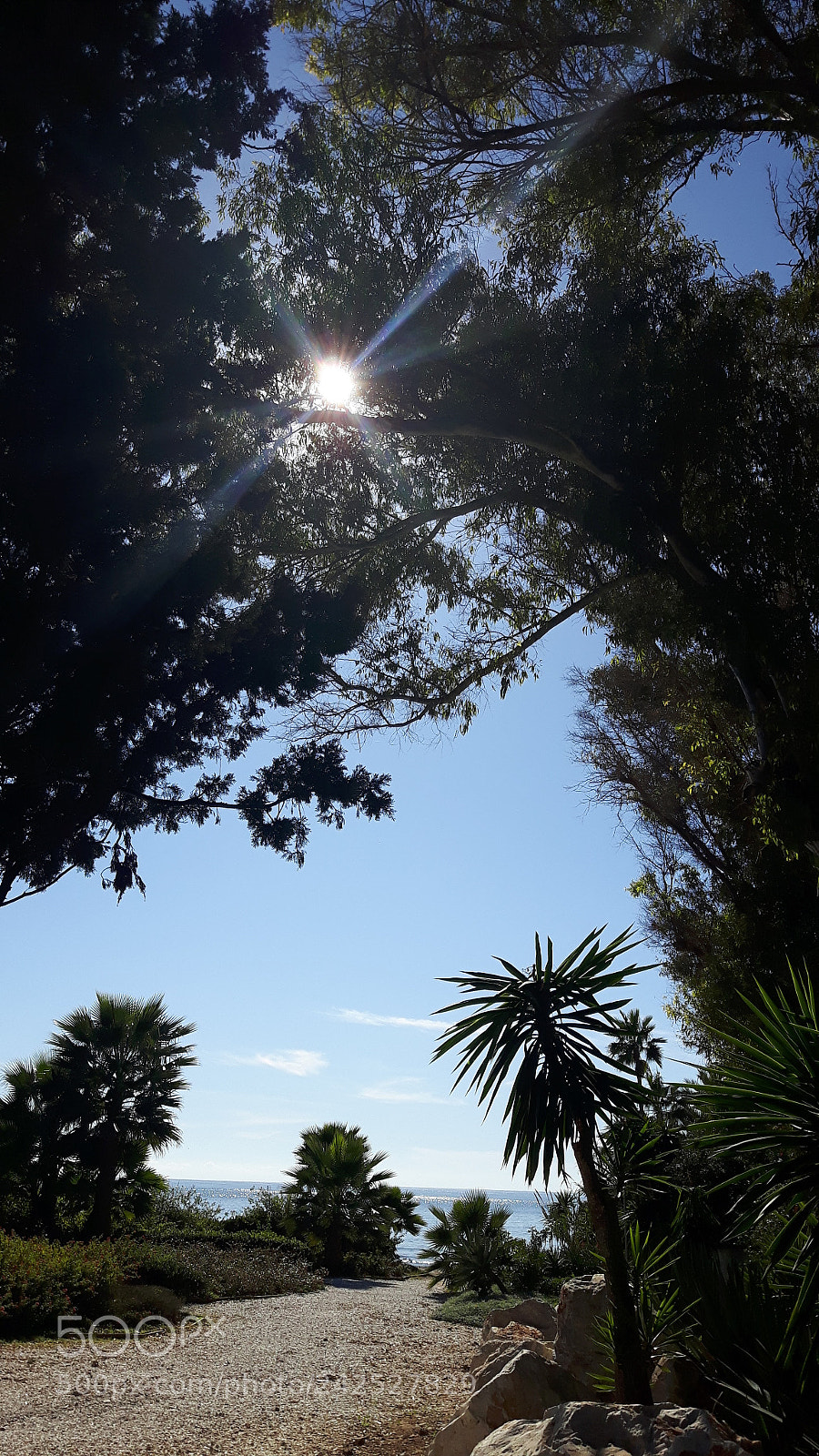 Samsung Galaxy S5 Neo sample photo. Camino a la playa photography