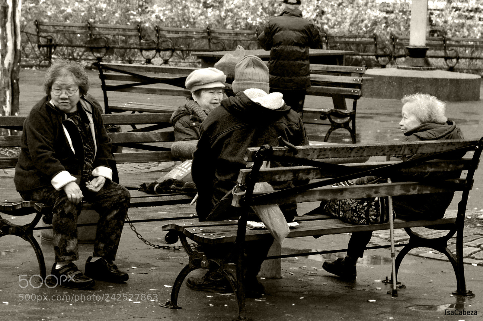Nikon D3100 sample photo. Everyday meeting photography