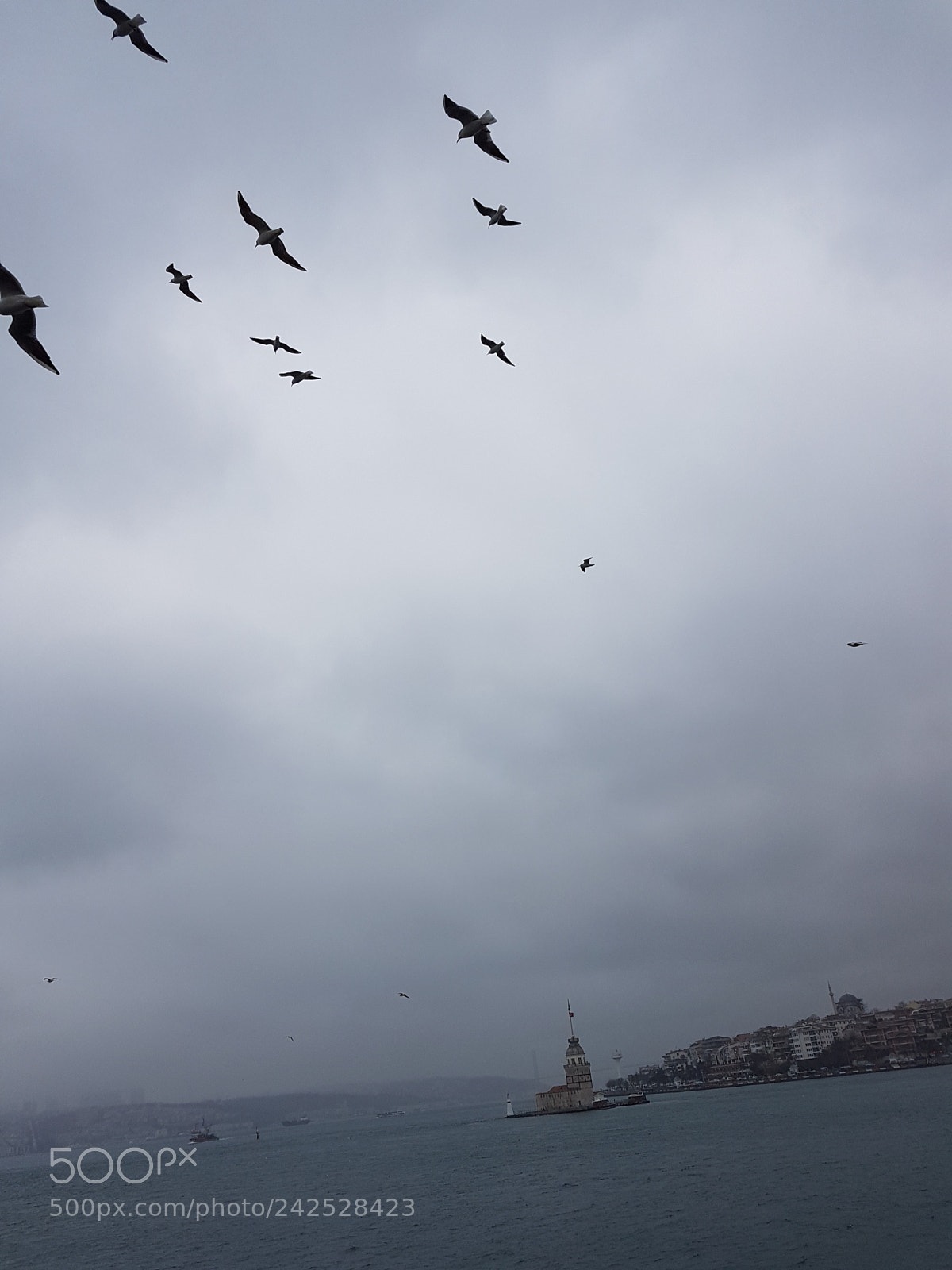 Samsung Galaxy S7 Edge sample photo. Flying photography
