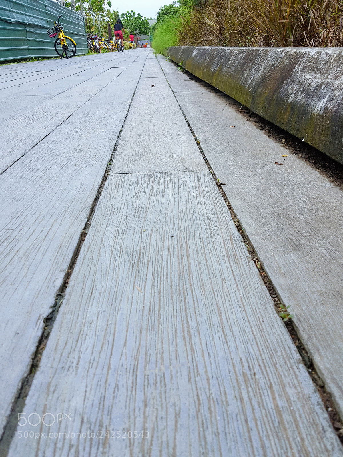 Samsung GALAXY S6 edge sample photo. #5 photography