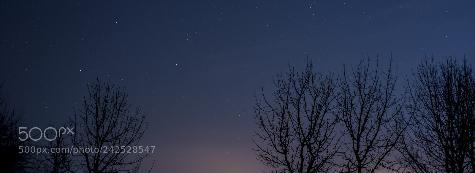 Nikon D800 sample photo. Night sky photography