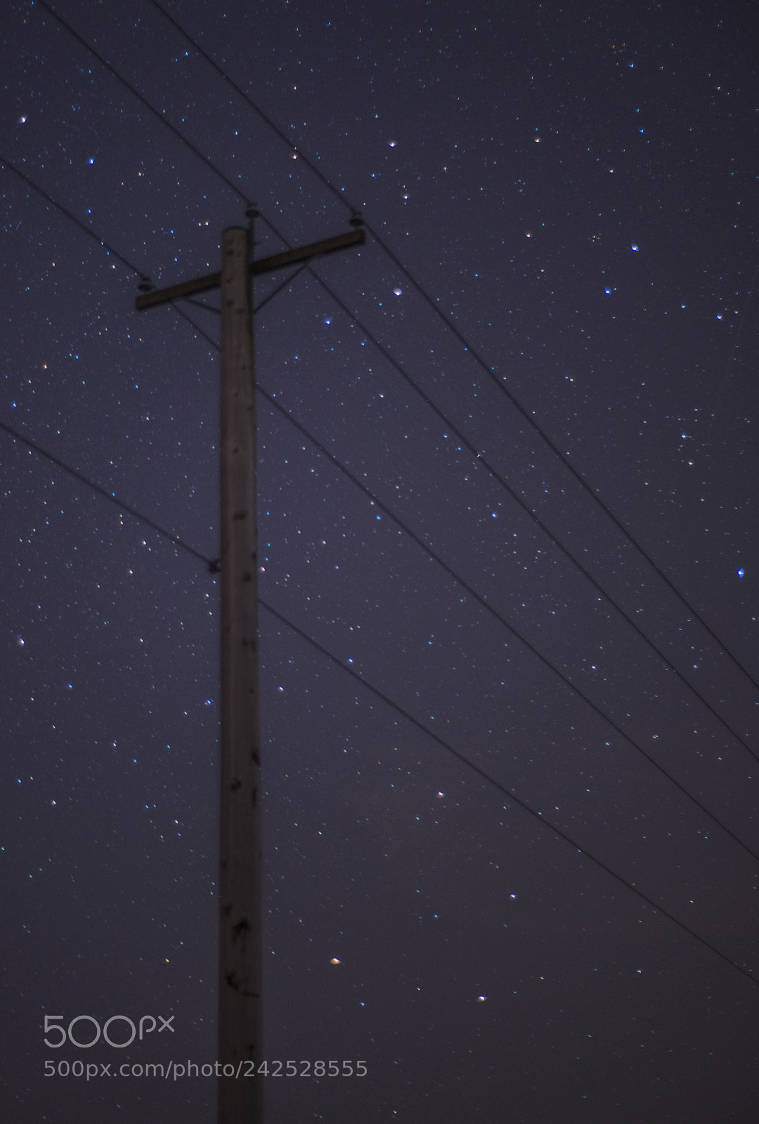 Nikon D800 sample photo. Dsc photography