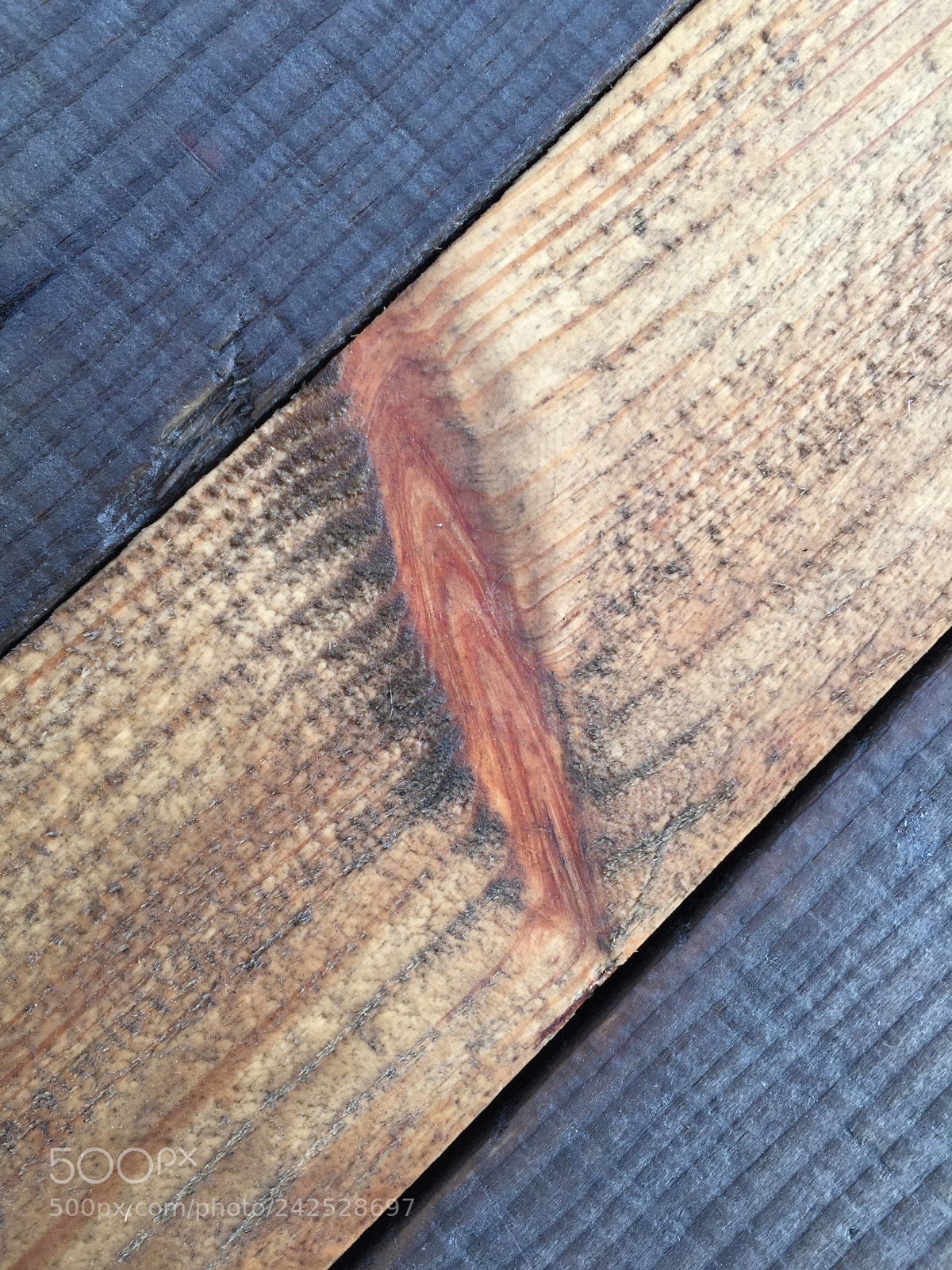Apple iPhone 6 sample photo. Wood color photography