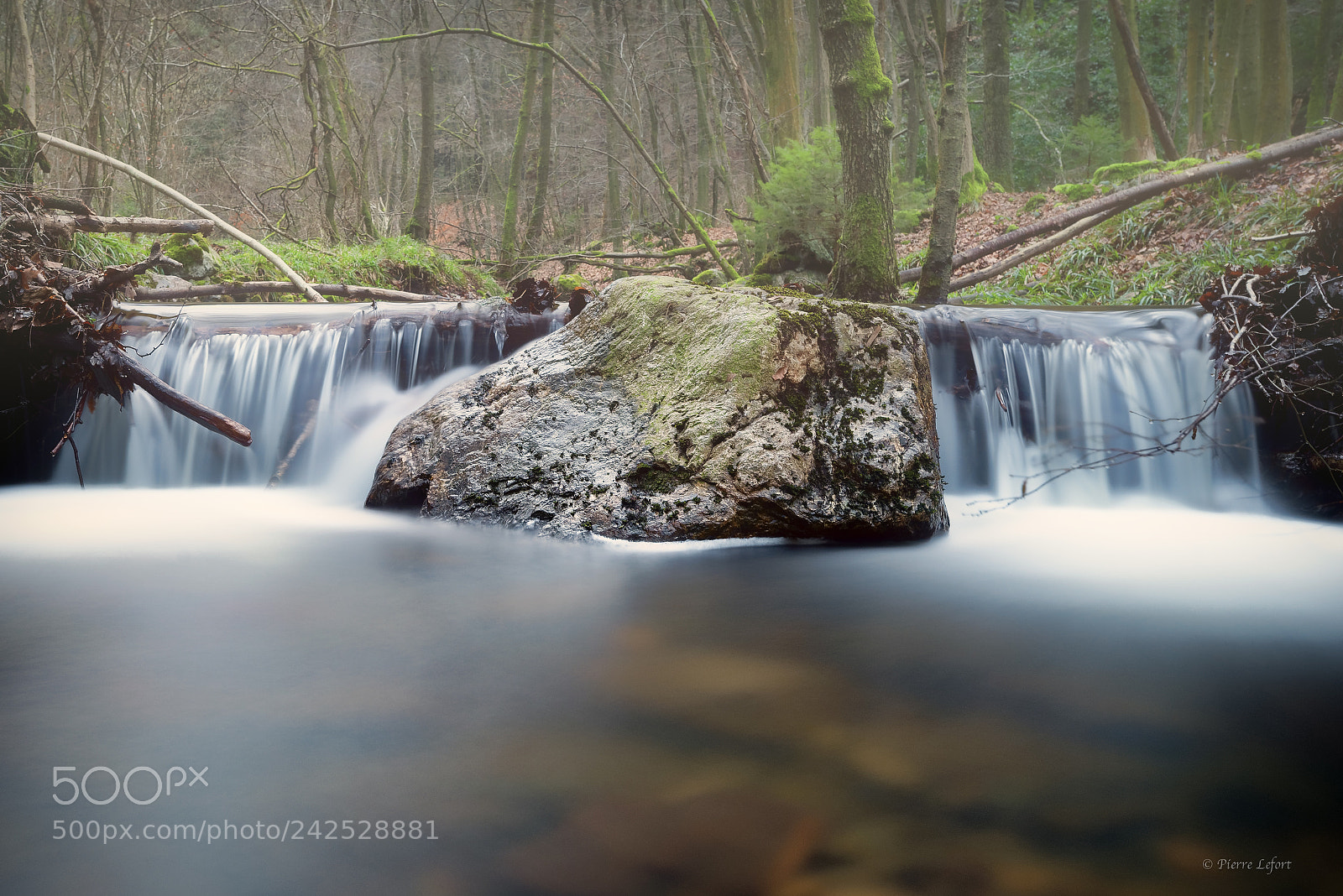Nikon D800 sample photo. Cascade photography