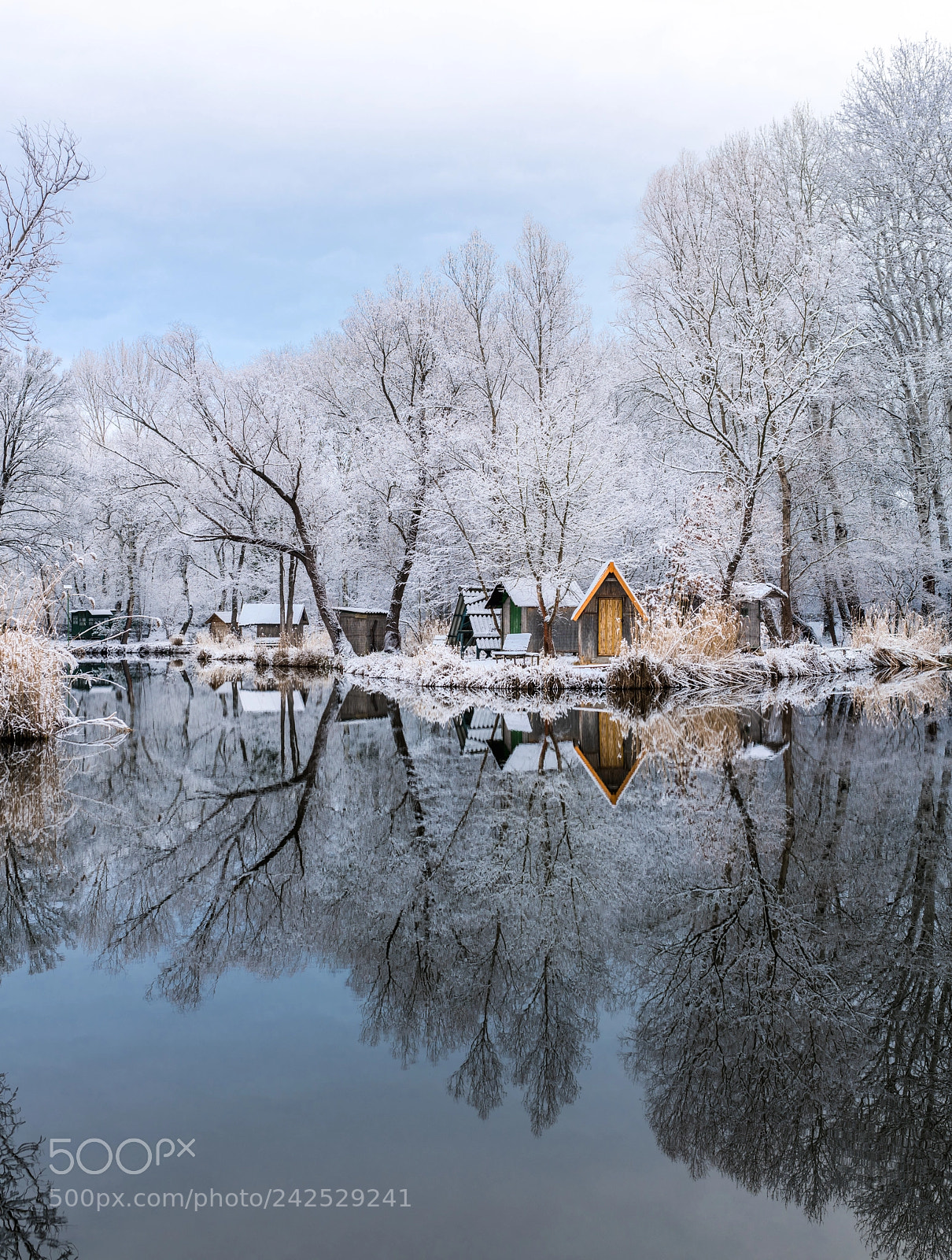 Nikon D850 sample photo. Winter on the lake photography