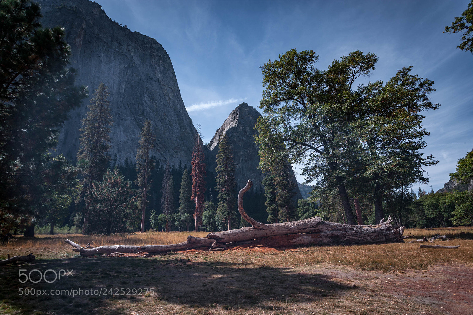 Canon EOS-1Ds Mark II sample photo. Yosemite national park photography