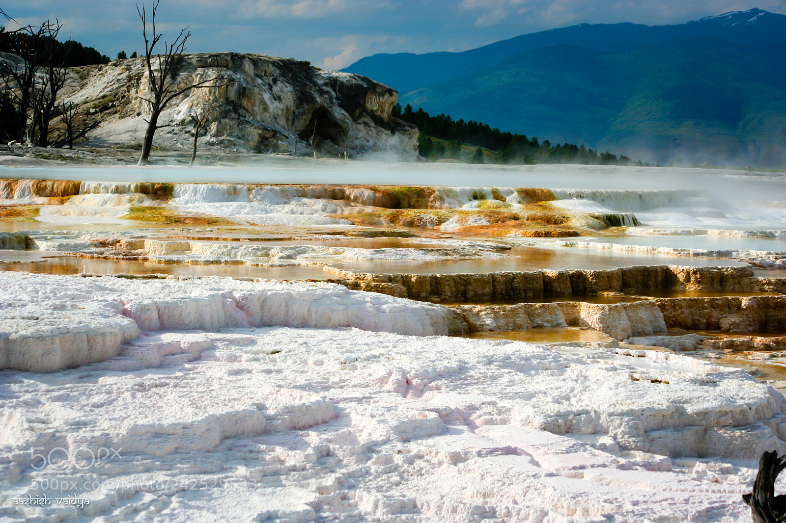 Canon EOS 350D (EOS Digital Rebel XT / EOS Kiss Digital N) sample photo. Mammoth hot springs, yellowstone photography