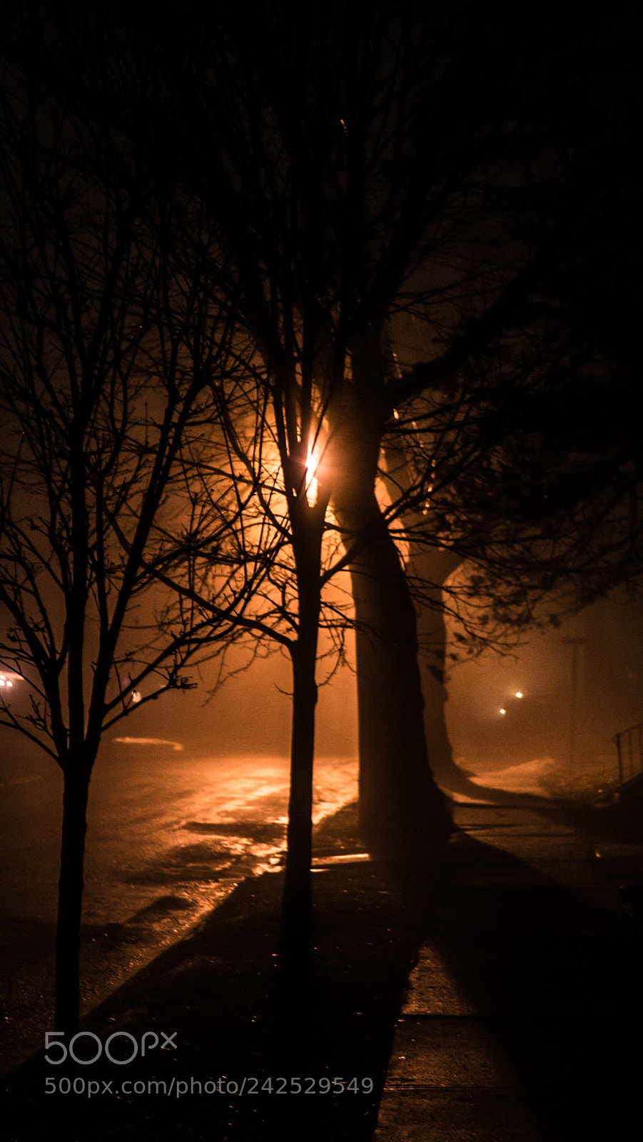 Panasonic Lumix DMC-G7 sample photo. Night fog photography