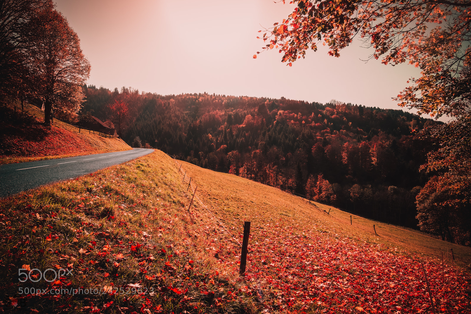 Sony Cyber-shot DSC-RX100 IV sample photo. Autumn road photography