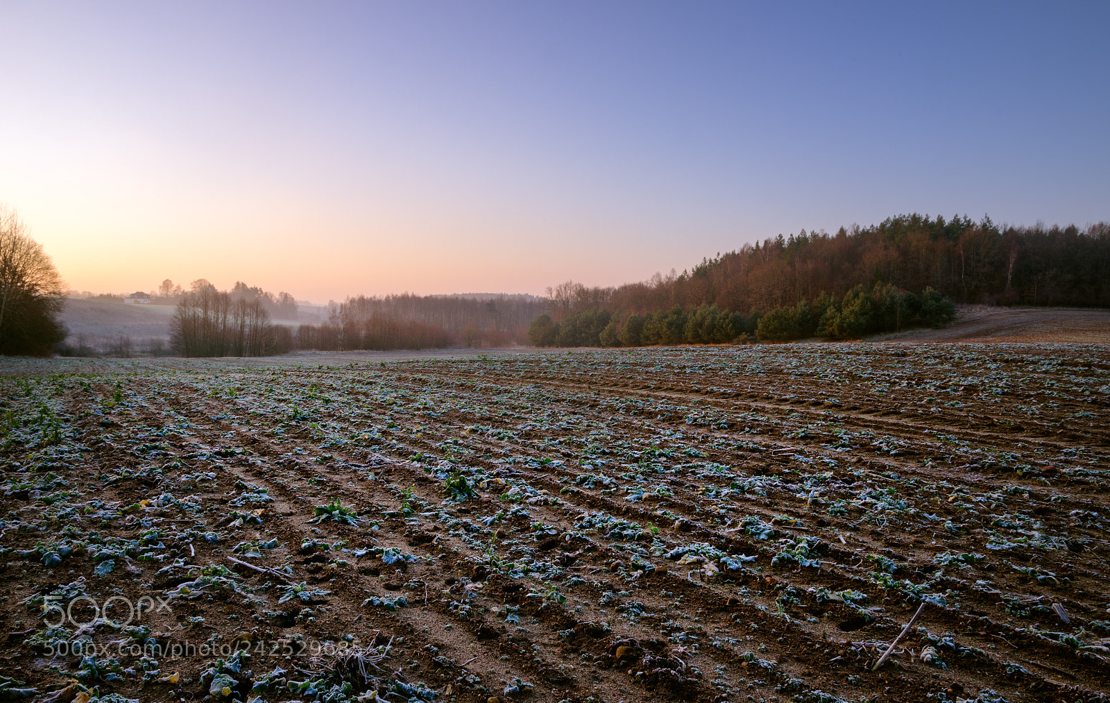 Pentax K-5 sample photo. Valley of the wierzyca photography