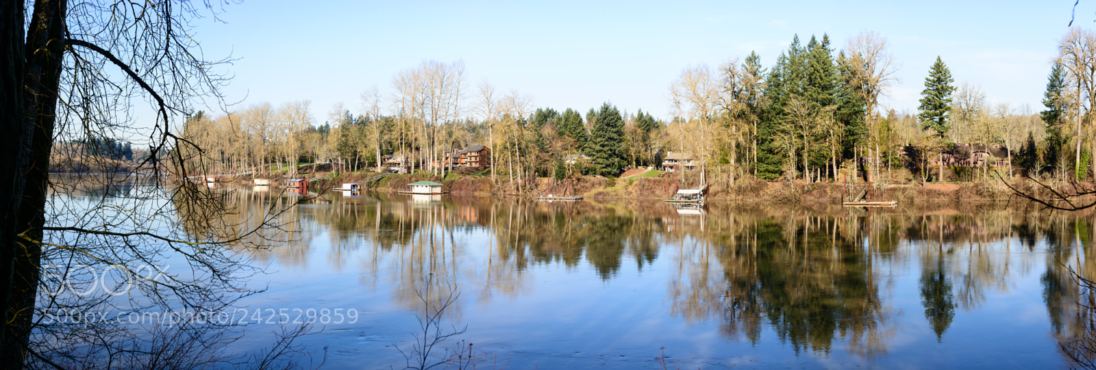 Nikon D800 sample photo. Reflections of the willamette photography