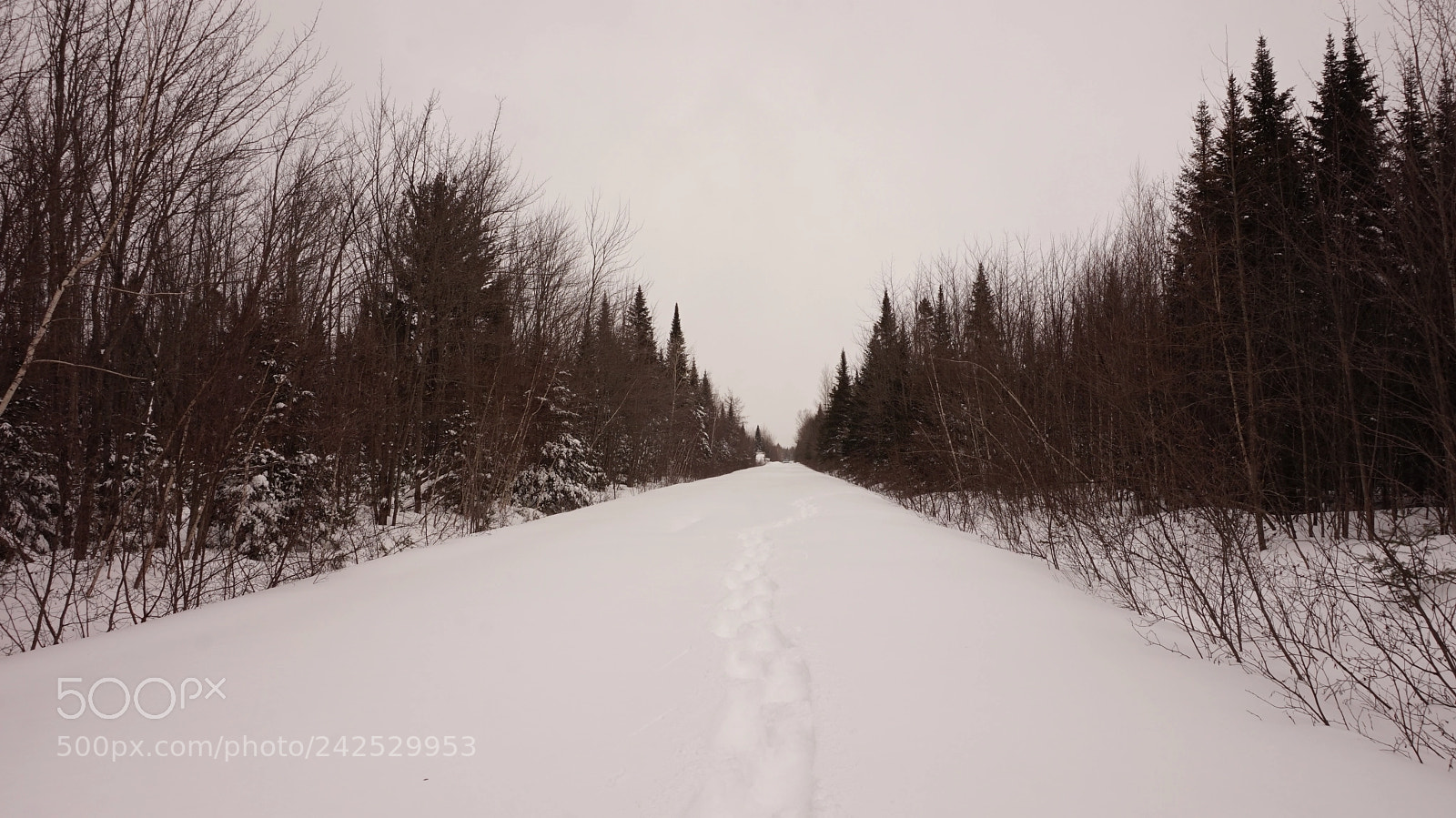 Sony Alpha a5000 (ILCE 5000) sample photo. Have a long road photography