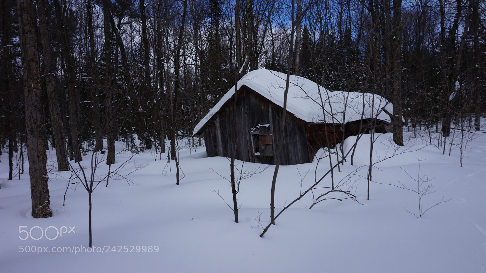 Sony Alpha a5000 (ILCE 5000) sample photo. Old shack photography