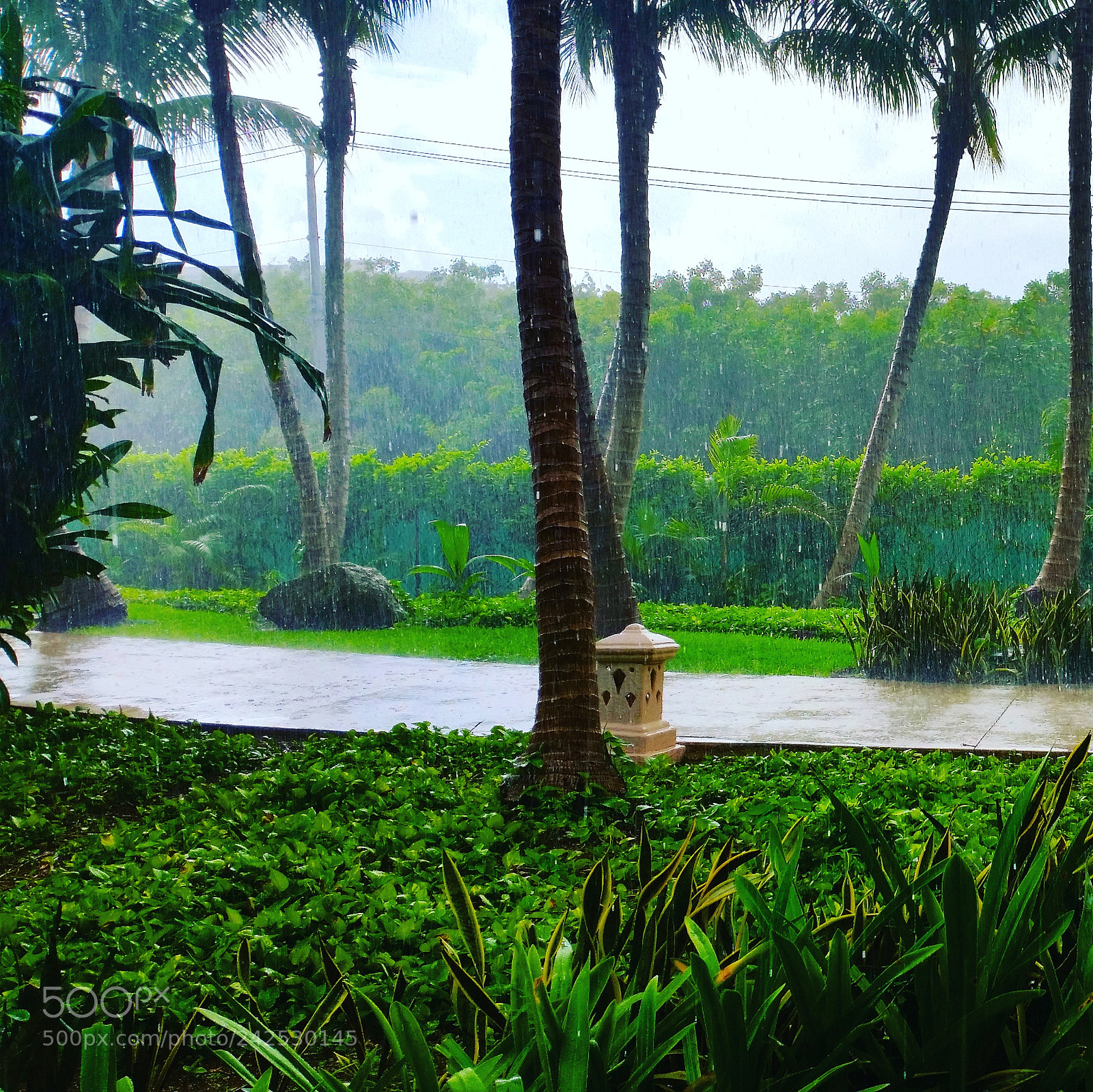 Samsung Galaxy S5 sample photo. After the rain, the photography