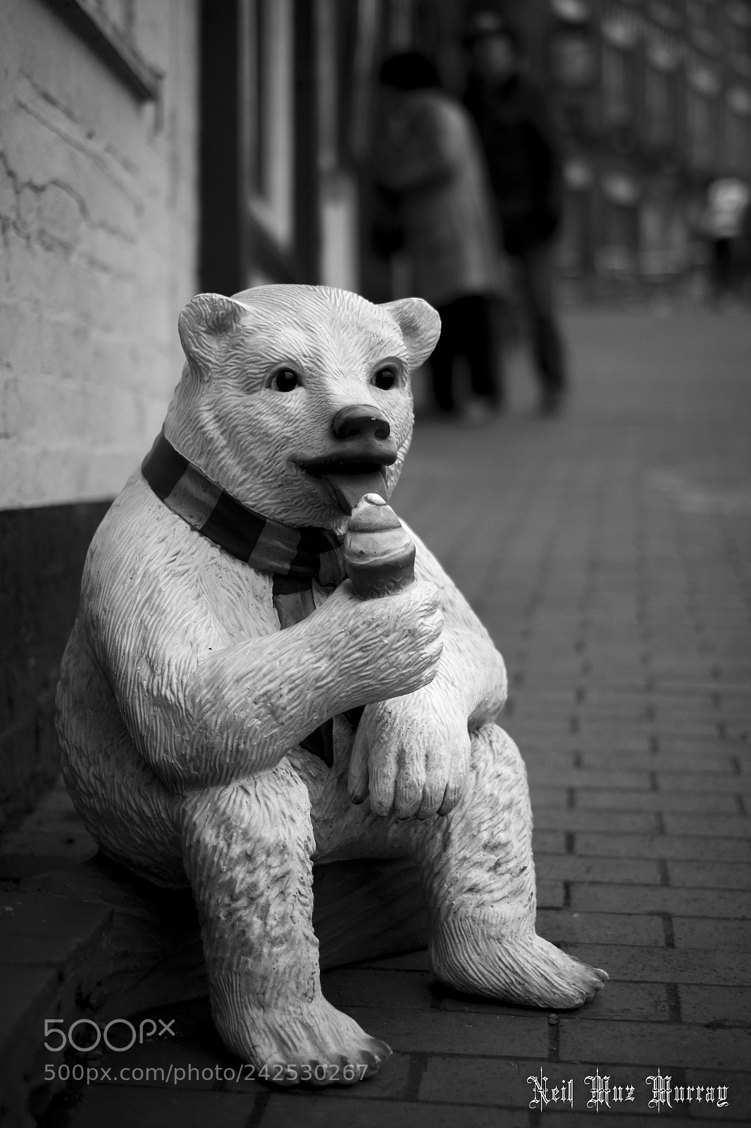 Fujifilm X-T2 sample photo. Chillin.... photography