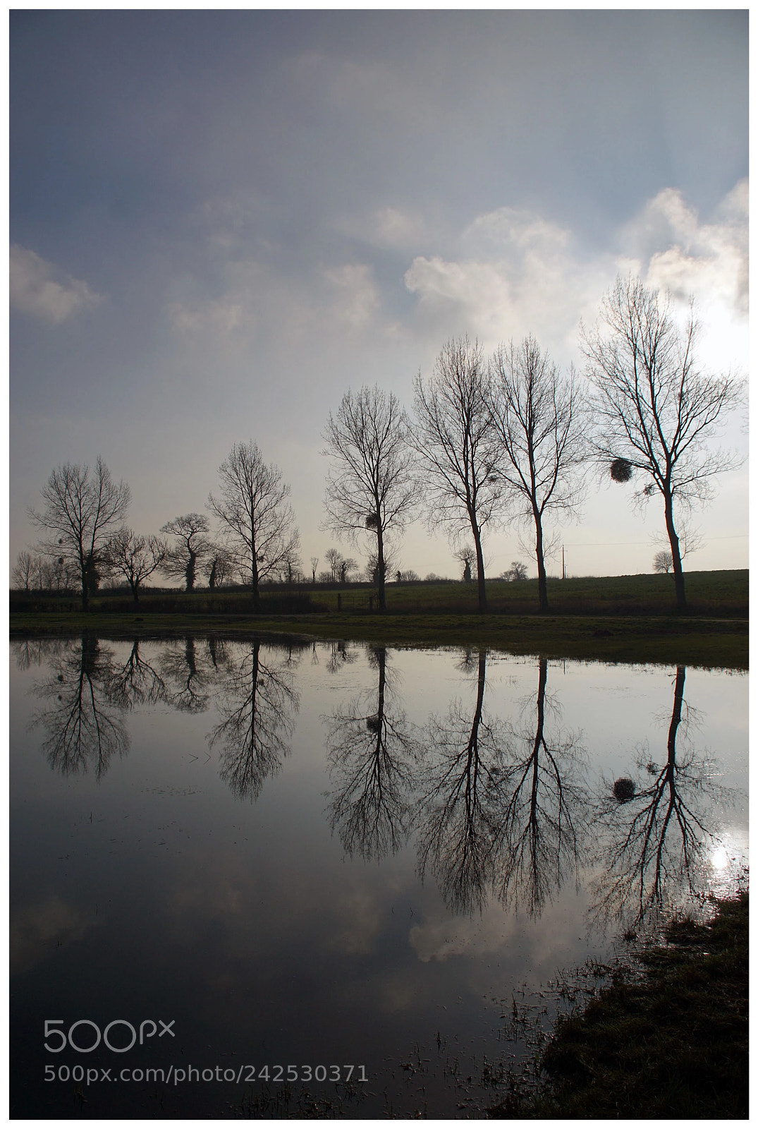 Sony ILCA-77M2 sample photo. Marais du cotentin photography