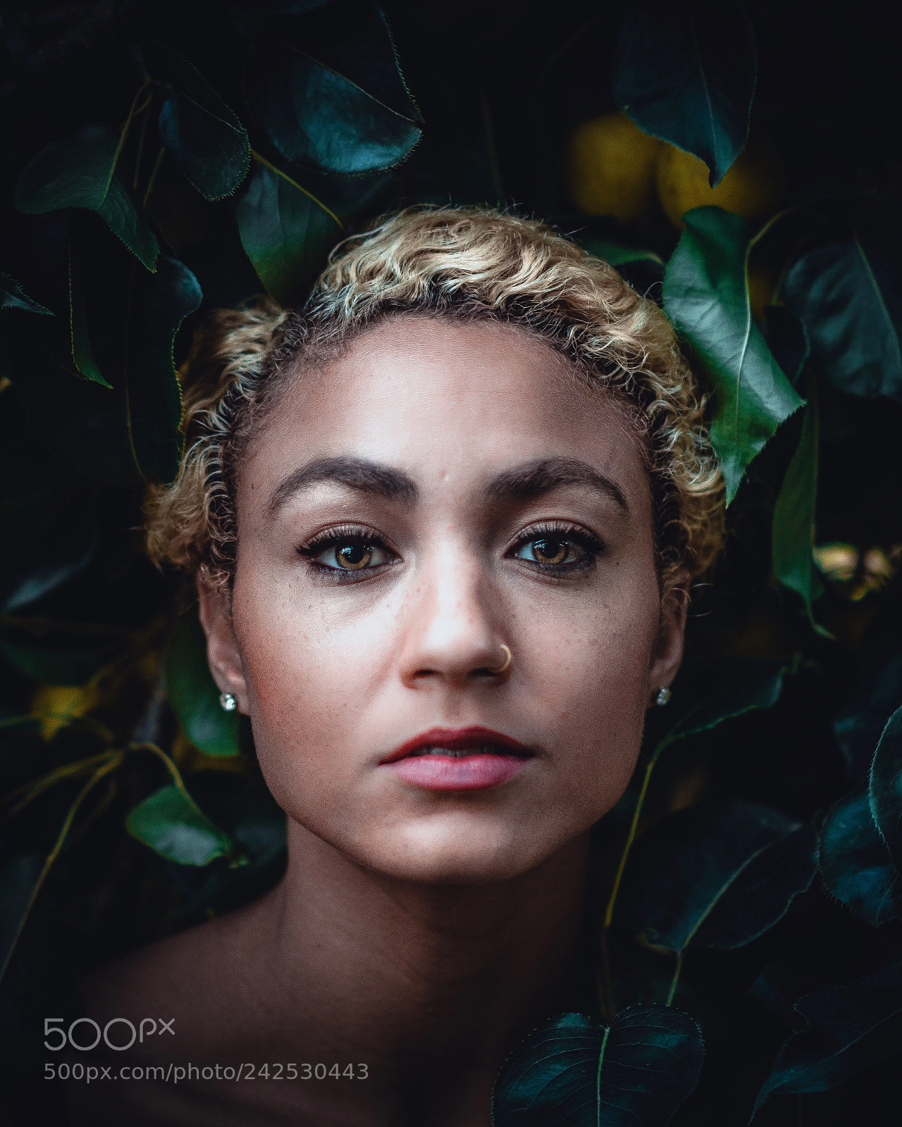 Sony a6500 sample photo. Dee c bbaf photography