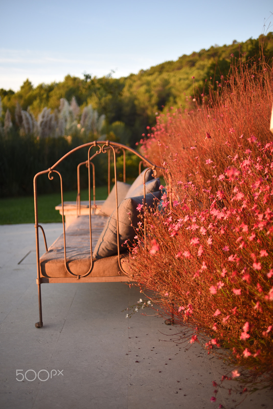 Nikon D810 + AF Nikkor 35mm f/2 sample photo. Sunrise bench photography