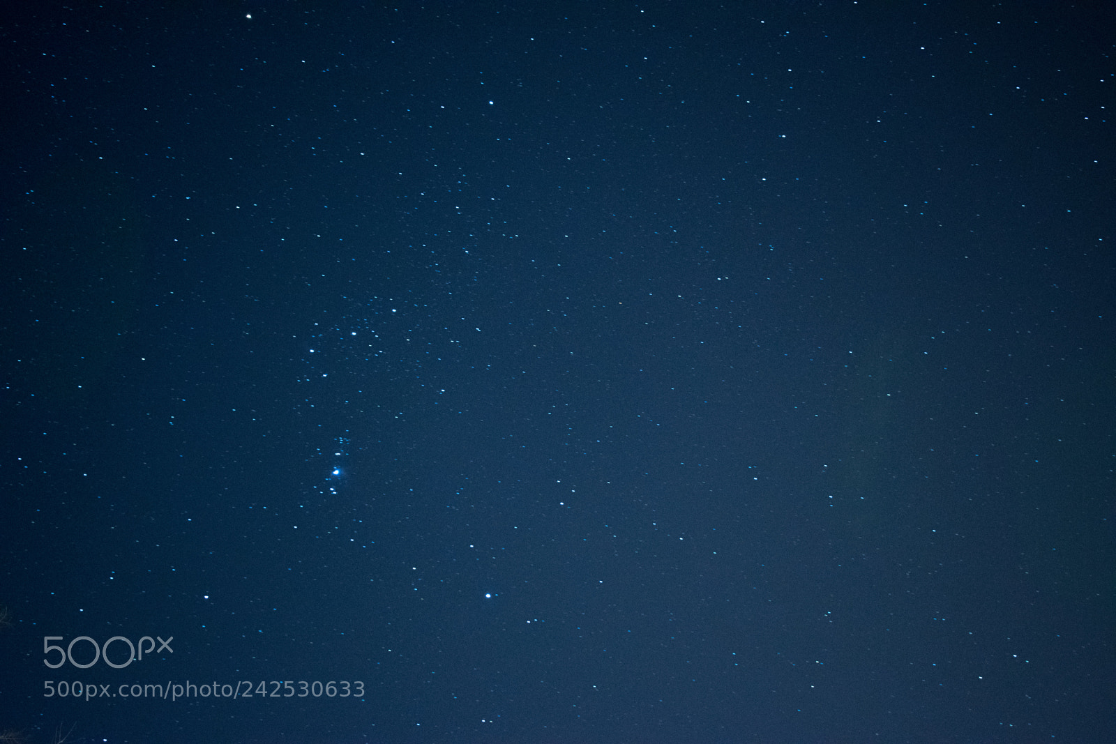 Nikon D3400 sample photo. Blue sky stars photography