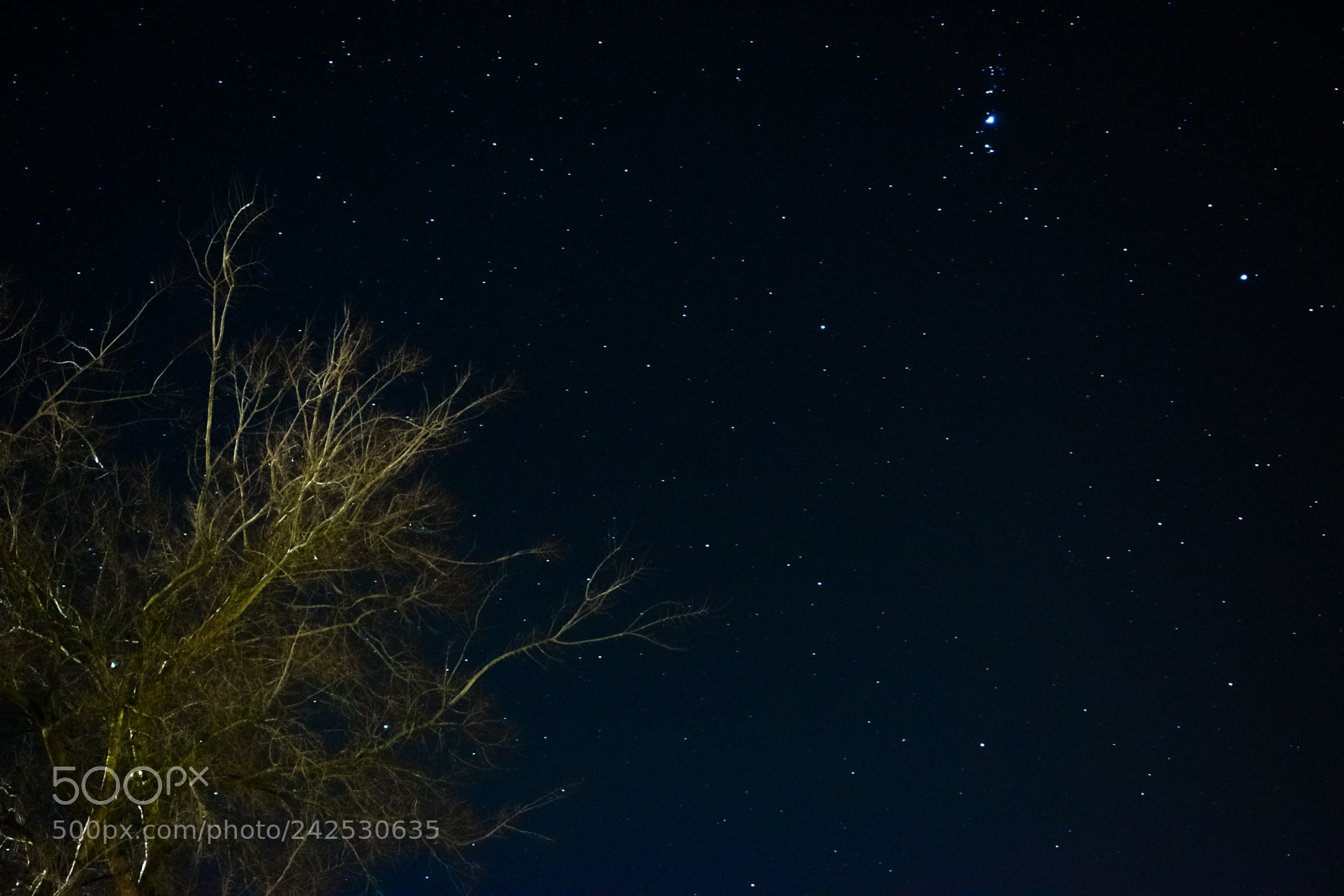 Nikon D3400 sample photo. Night view photography