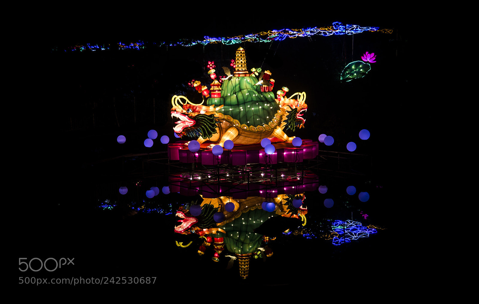 Panasonic Lumix DMC-G85 (Lumix DMC-G80) sample photo. China lights zoo antwerp 2 photography
