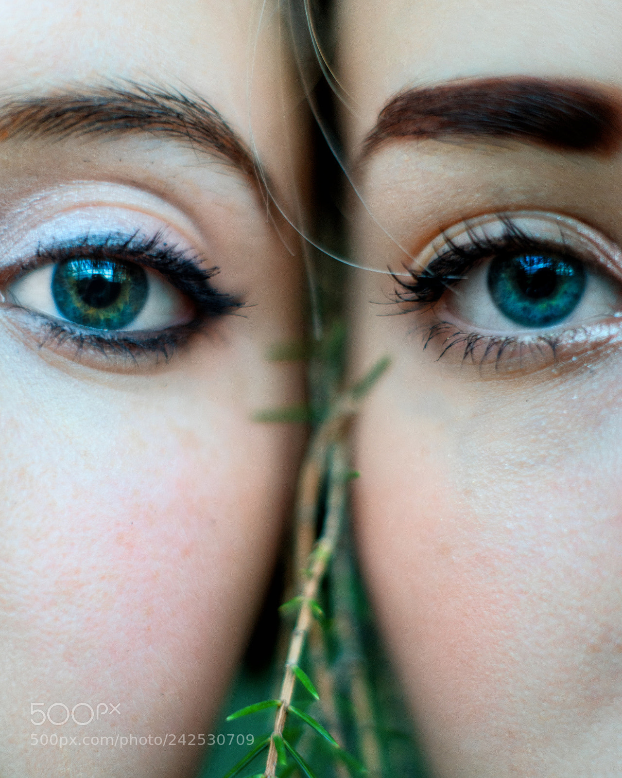 Sony a7 II sample photo. Double vision photography