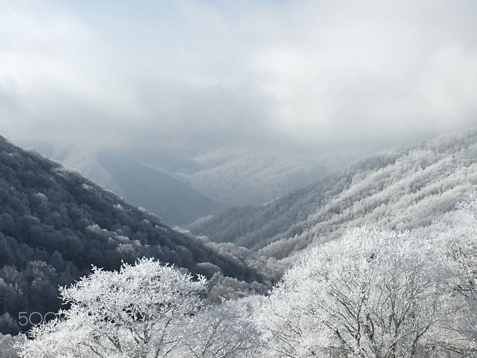Apple iPhone SE sample photo. Smoky mountain cataloochee ski photography