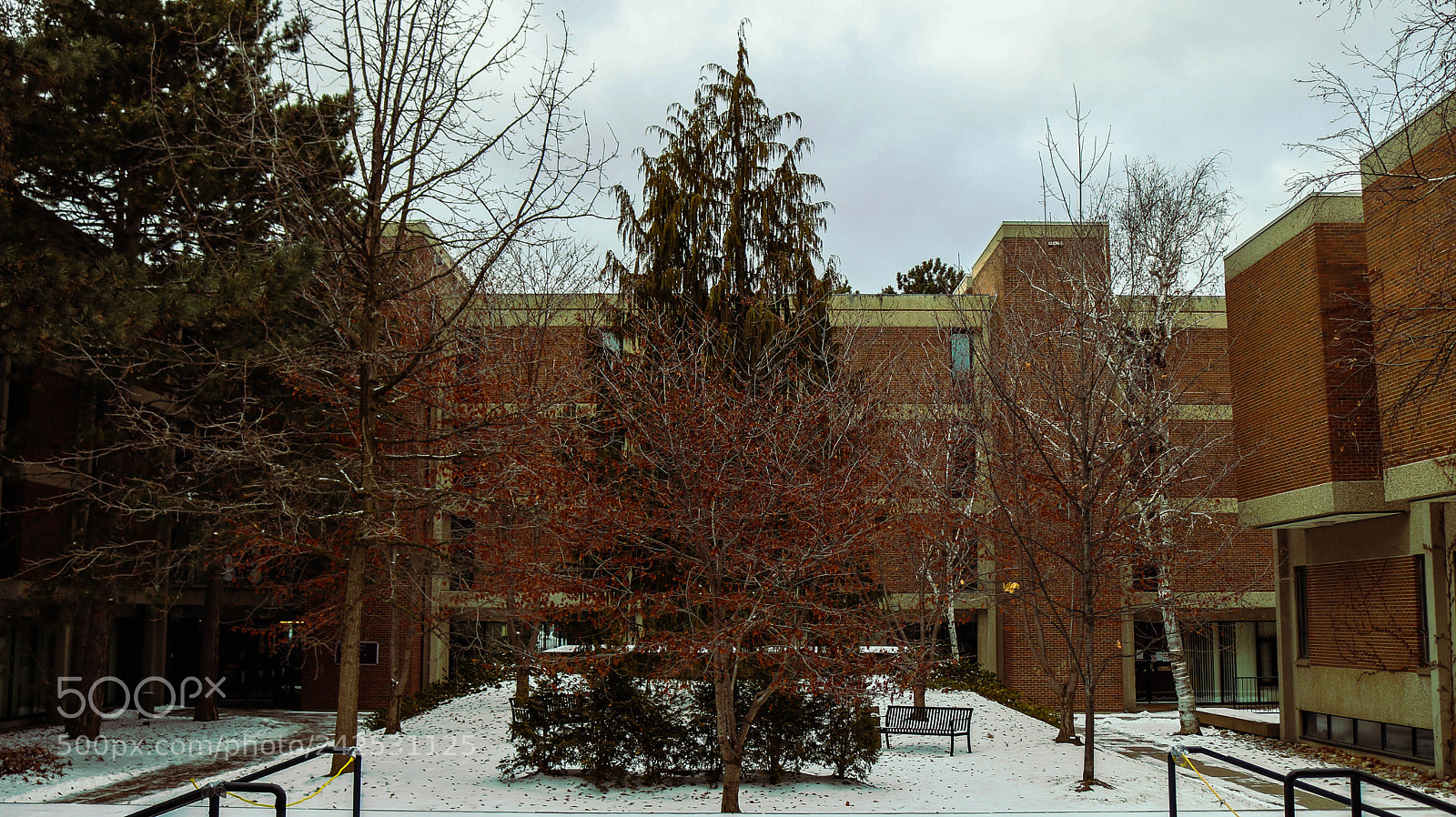 Canon EOS 750D (EOS Rebel T6i / EOS Kiss X8i) sample photo. Founder's quad photography