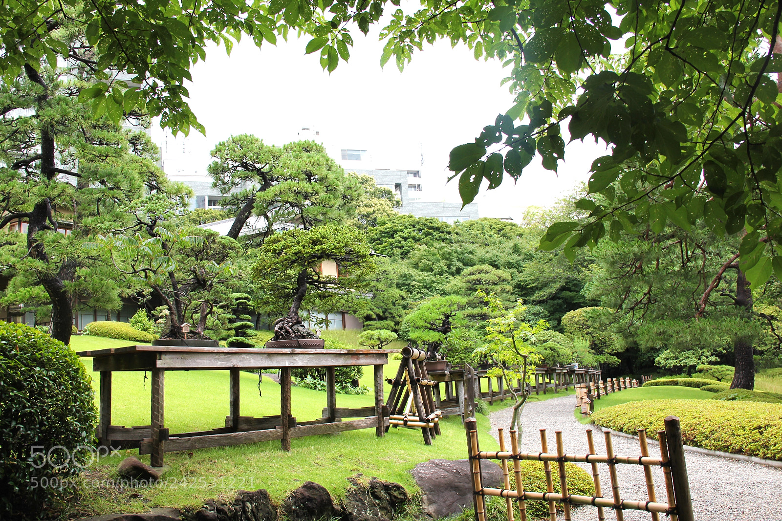 Canon EOS 550D (EOS Rebel T2i / EOS Kiss X4) sample photo. Japan garden photography