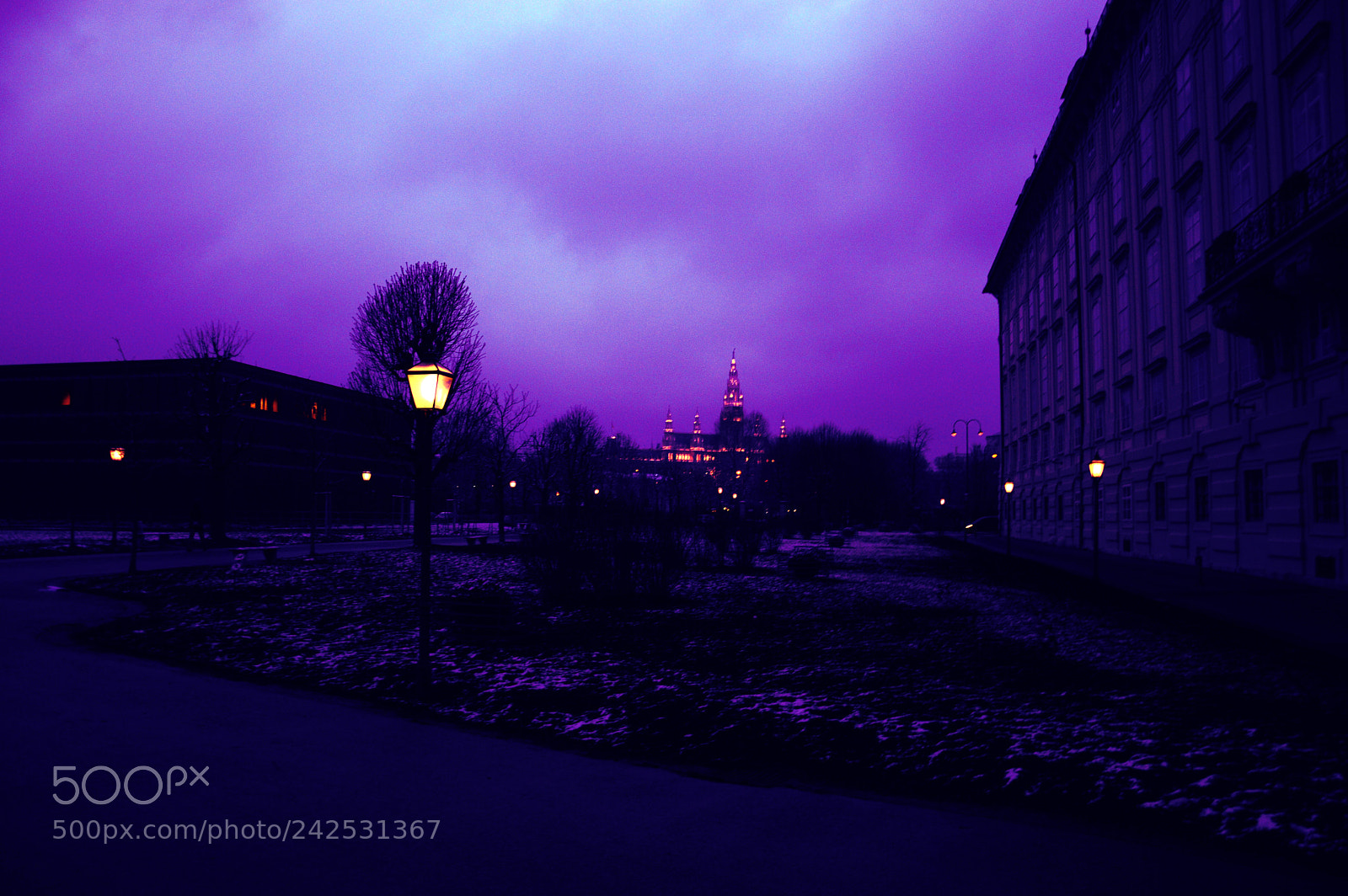 Nikon D3200 sample photo. Wien at the night photography