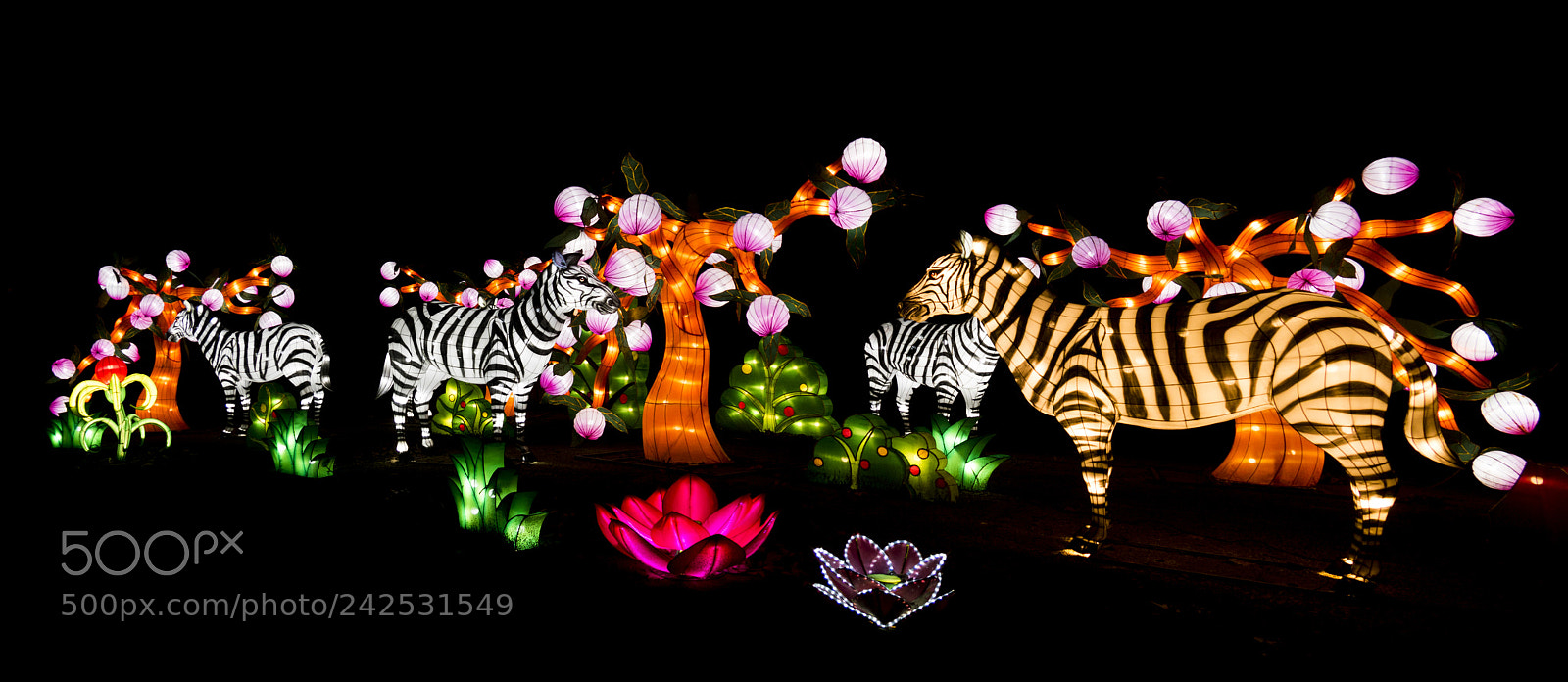 Panasonic Lumix DMC-G85 (Lumix DMC-G80) sample photo. Zebras china lights photography
