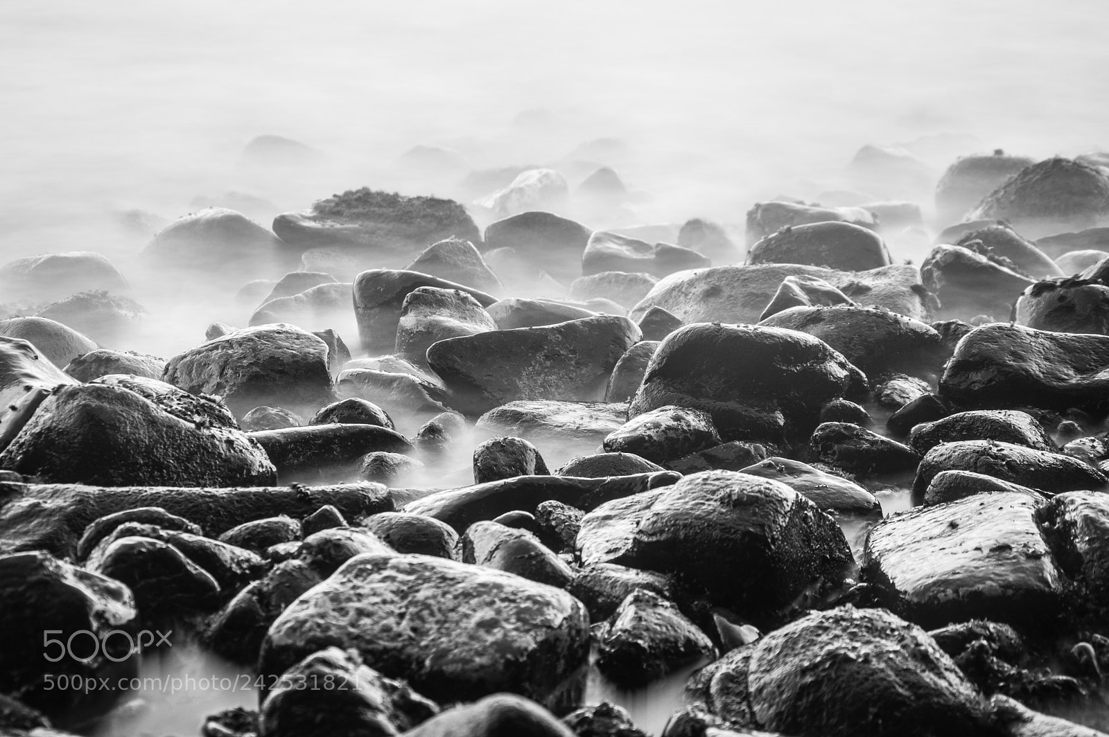 Nikon D3200 sample photo. Forest of black stones photography