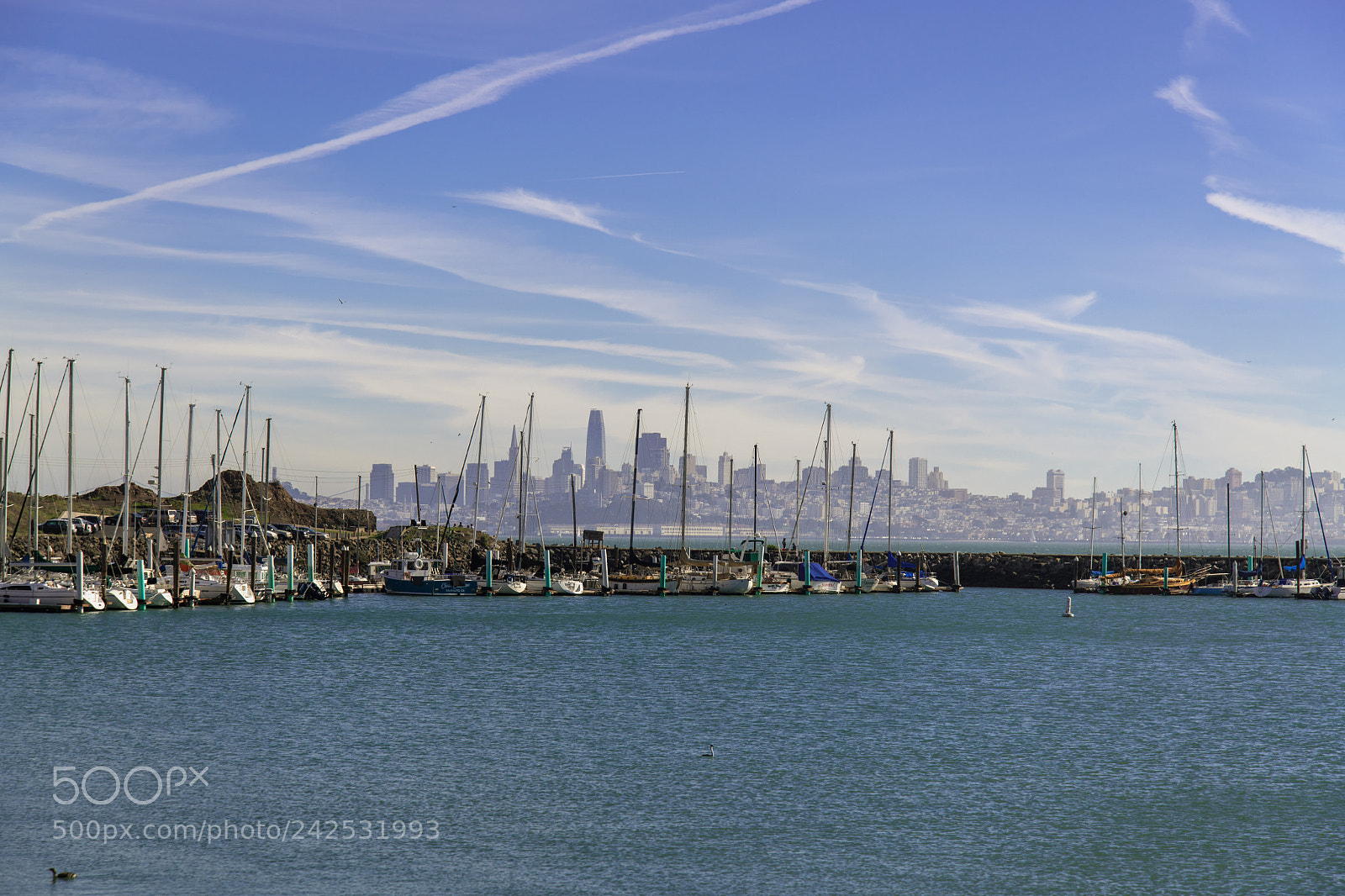 Nikon D850 sample photo. San francisco bay photography