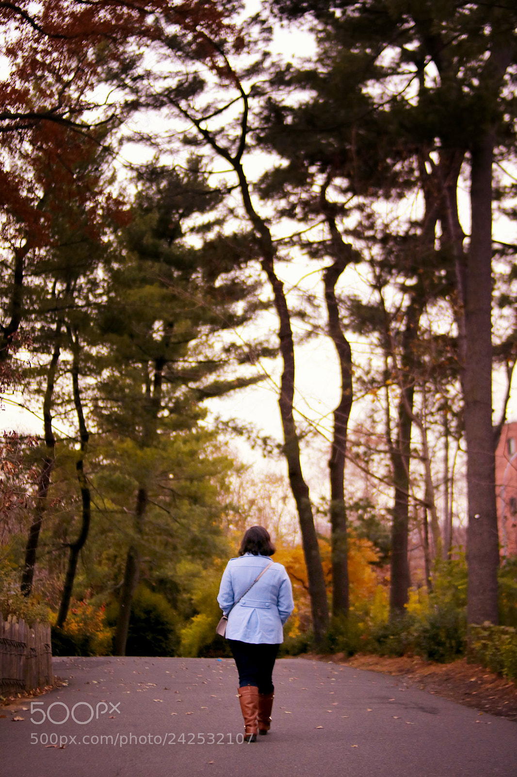 Canon EOS 760D (EOS Rebel T6s / EOS 8000D) sample photo. Girl walking in the photography