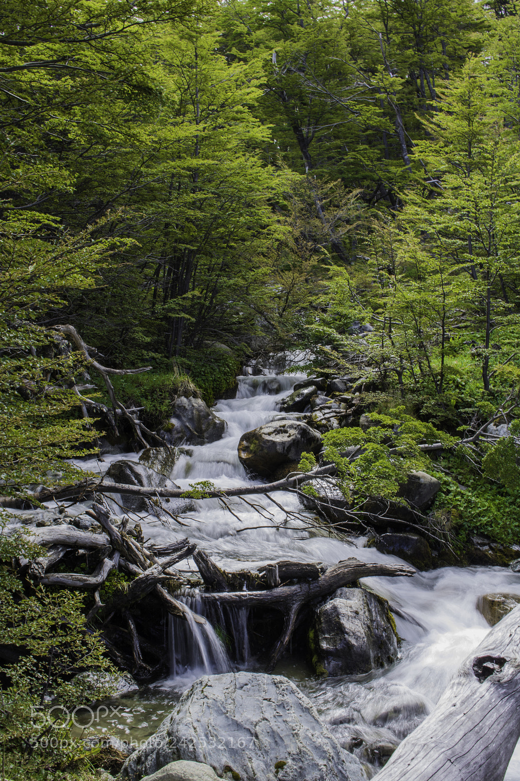 Canon EOS 750D (EOS Rebel T6i / EOS Kiss X8i) sample photo. Glaciar martial long exposure photography