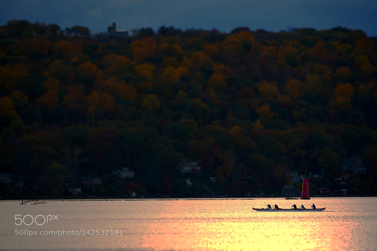Nikon D5600 sample photo. Rowers on cayuga photography