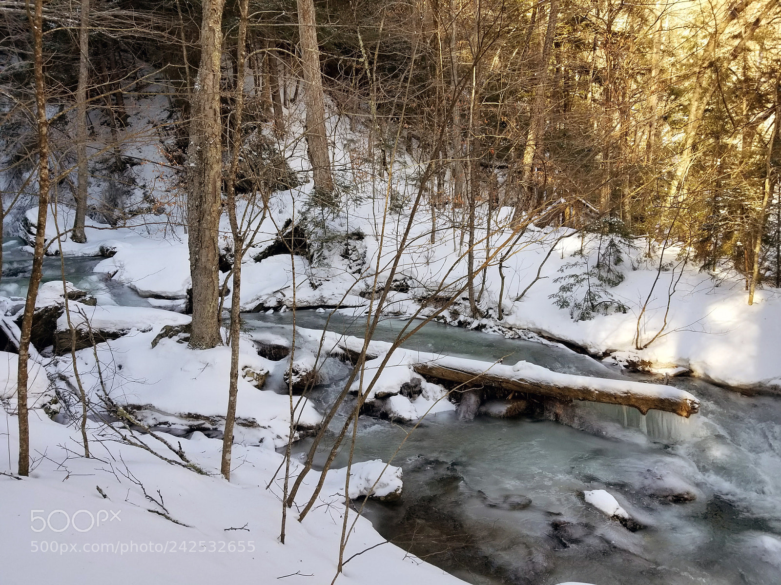 Samsung Galaxy S8 sample photo. Icy forest vermont photography