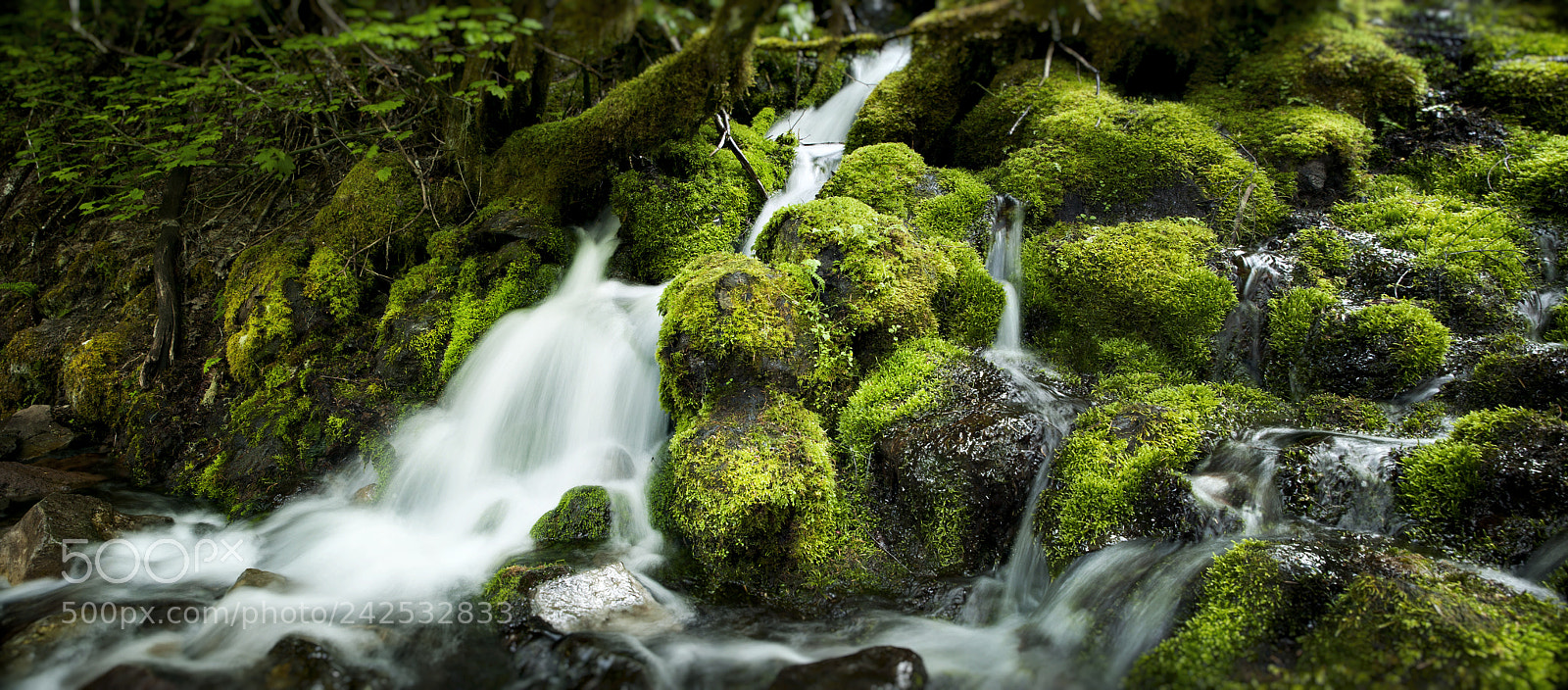 Nikon D700 sample photo. A smaller falls photography