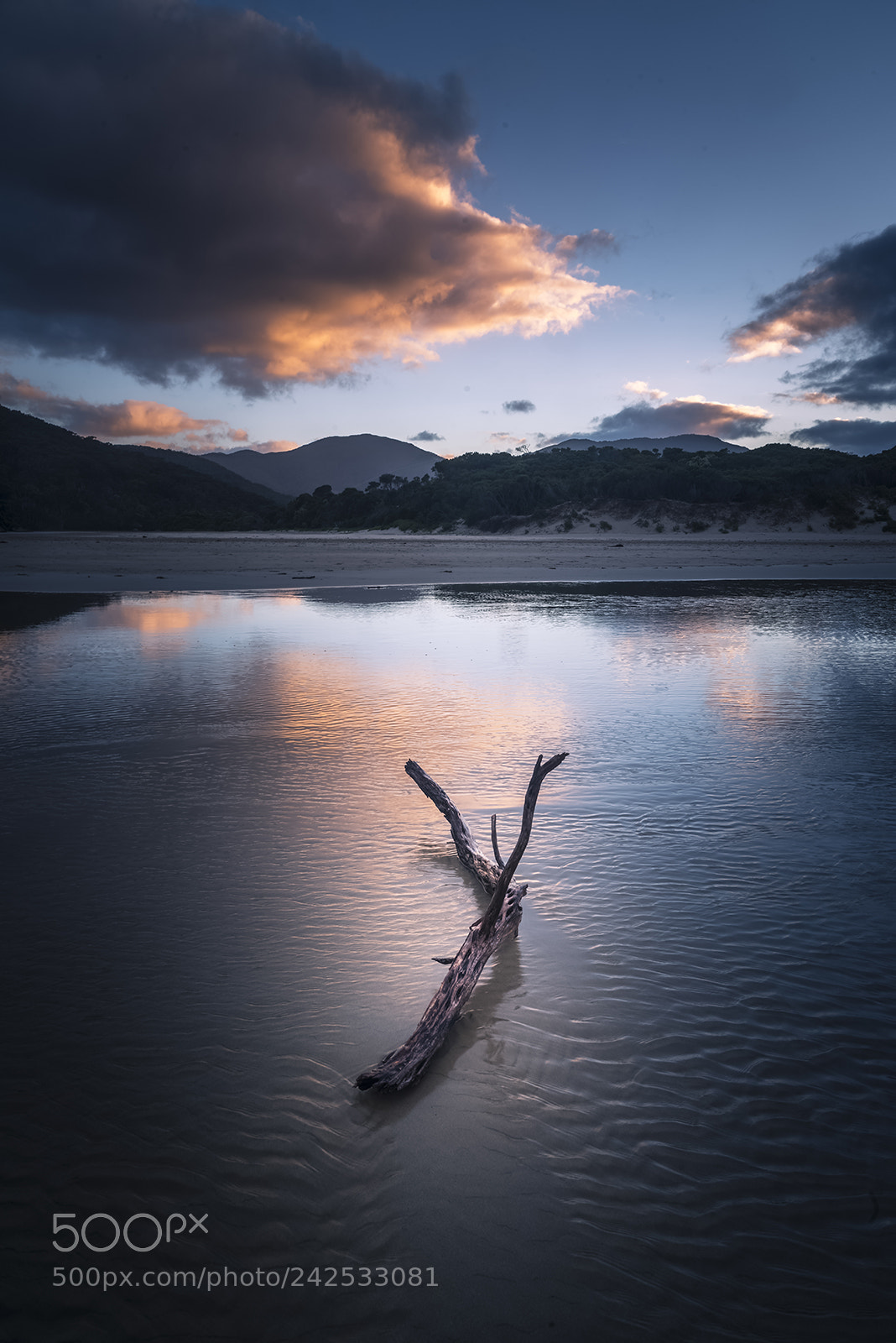 Nikon D810 sample photo. Norman beach photography