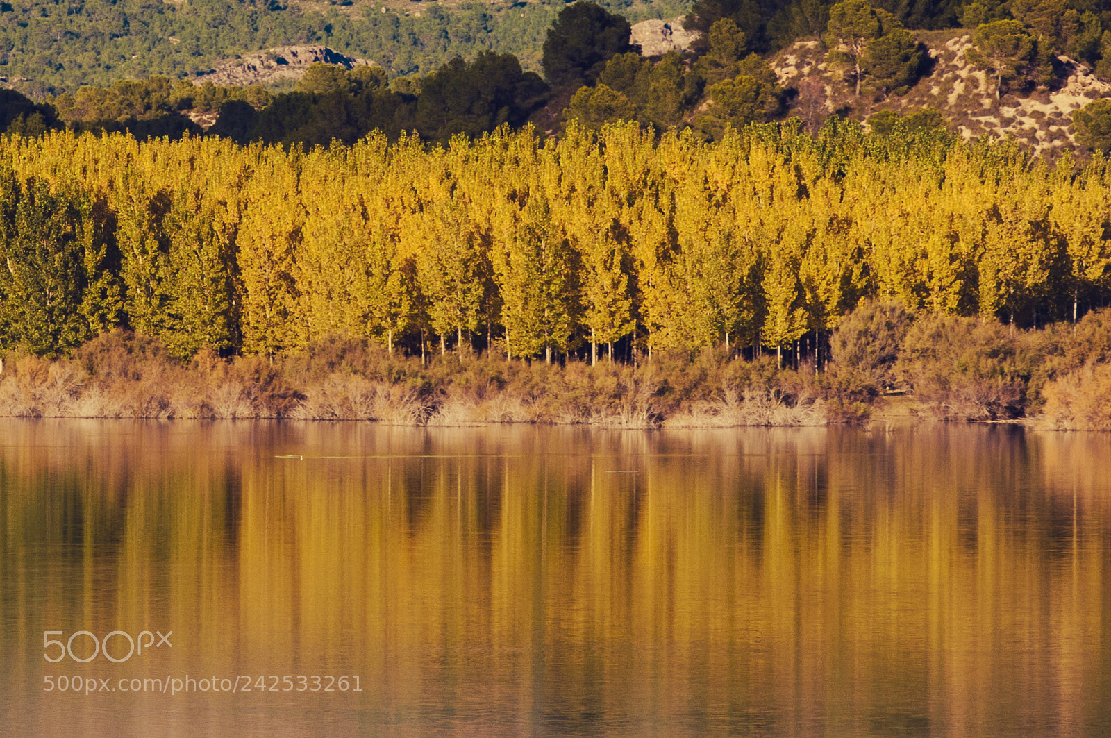 Nikon D300 sample photo. Reflejos photography