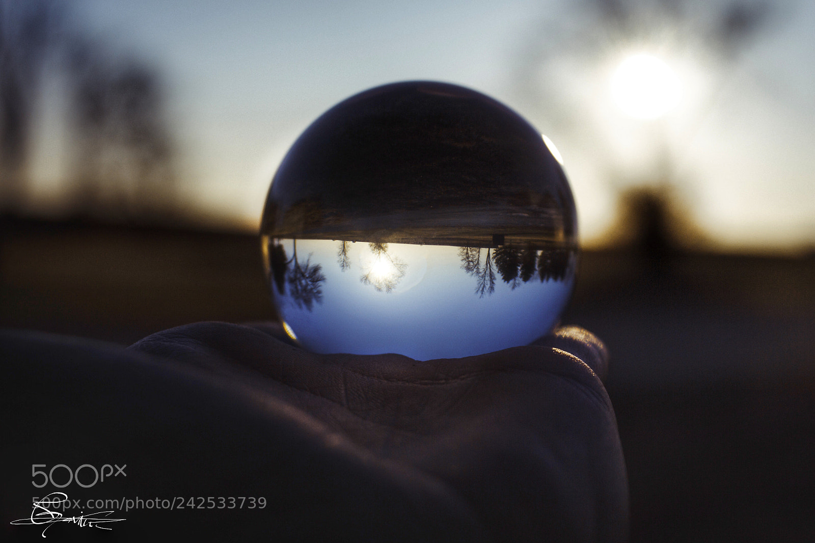 Canon EOS 650D (EOS Rebel T4i / EOS Kiss X6i) sample photo. Sunset in ball photography