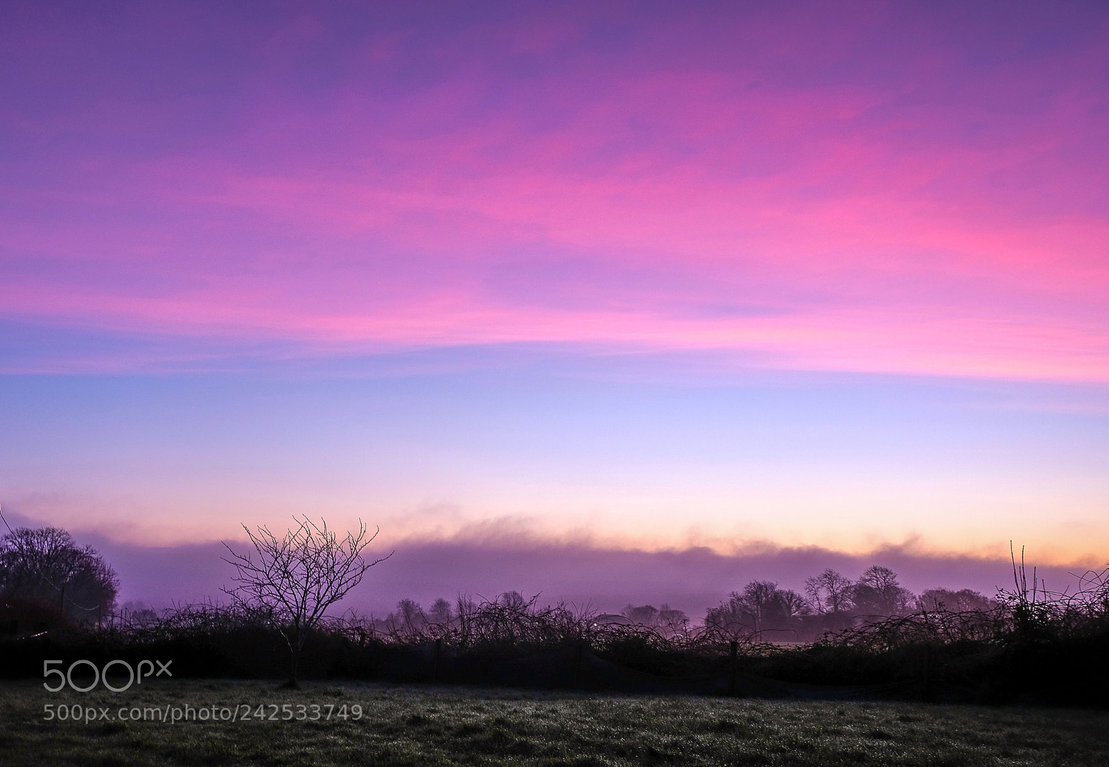 Fujifilm X-T2 sample photo. Pink sky photography